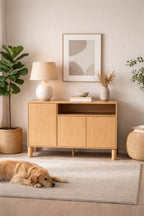 CHEST OF DRAWERS SN-2