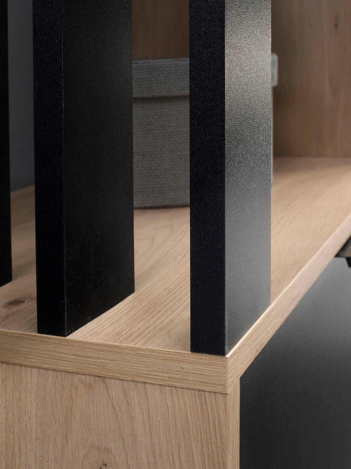 CLOSET WITH MILO MIRROR
